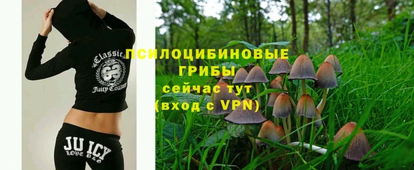 кристаллы Алзамай