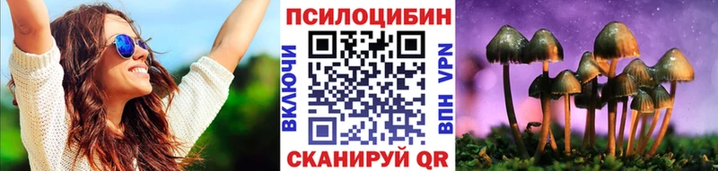 Псилоцибиновые грибы Psilocybine cubensis  закладки  Малоархангельск 
